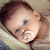 https://www.vanastenbabysuperstore.nl/media/catalog/product/0/2/0232800309_2_fopspeen_difrax_dynamic_618_mnd_botanic_pinkpurple.jpg