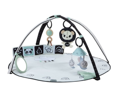 https://www.vanastenbabysuperstore.nl/media/catalog/product/0/3/0312400130_1_speelkleed_tiny_love_gymini_classic_black_white.jpg