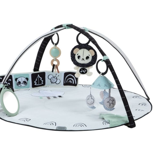 https://www.vanastenbabysuperstore.nl/media/catalog/product/0/3/0312400130_1_speelkleed_tiny_love_gymini_classic_black_white.jpg