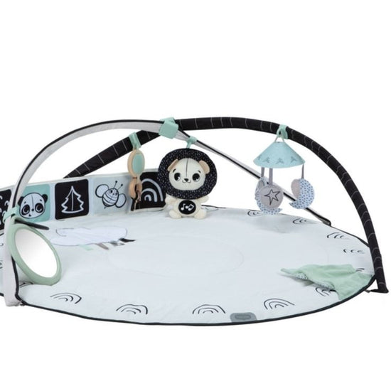 https://www.vanastenbabysuperstore.nl/media/catalog/product/0/3/0312400130_2_speelkleed_tiny_love_gymini_classic_black_white.jpg