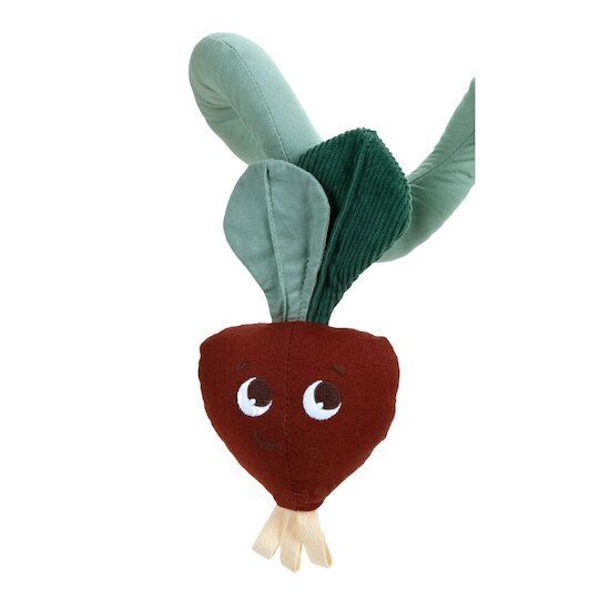 https://www.vanastenbabysuperstore.nl/media/catalog/product/0/3/0312400138_2_activity_spiral_tiny_love_garden_of_adventures.jpg