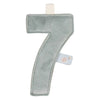 https://www.vanastenbabysuperstore.nl/media/catalog/product/0/5/0592403801_1_vlaggenlijn_hanger_little_dutch_cijfer_7.jpg
