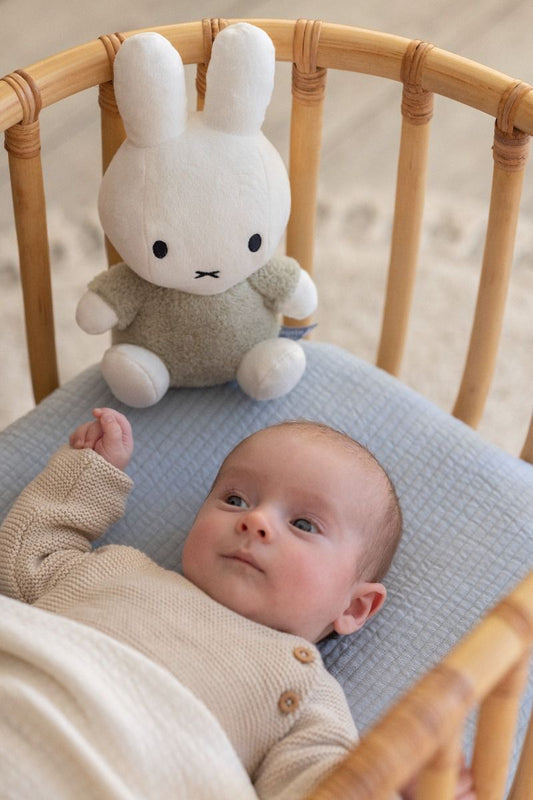 https://www.vanastenbabysuperstore.nl/media/catalog/product/0/5/0592403873_2_knuffel_nijntje_fluffy_green_25cm.jpg
