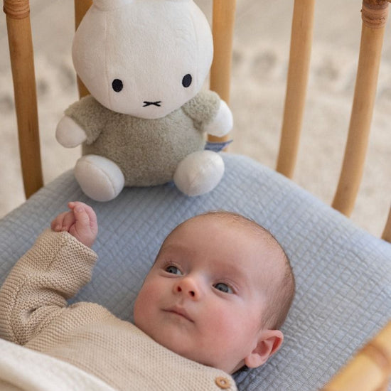 https://www.vanastenbabysuperstore.nl/media/catalog/product/0/5/0592403873_2_knuffel_nijntje_fluffy_green_25cm.jpg