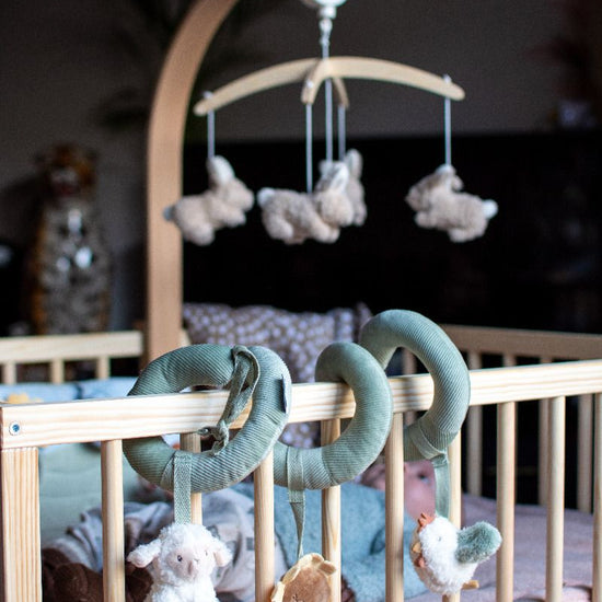 https://www.vanastenbabysuperstore.nl/media/catalog/product/0/5/0592403942_1_activiteitenspiraal_little_dutch_little_farm.jpeg
