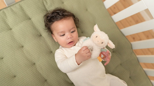 https://www.vanastenbabysuperstore.nl/media/catalog/product/0/5/0592403950_2_rammelaar_little_dutch_litte_farm_ring_schaap.jpg