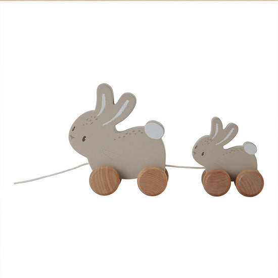 https://www.vanastenbabysuperstore.nl/media/catalog/product/0/5/0592403961_1_trekdier_little_dutch_baby_bunny_konijnen.jpg