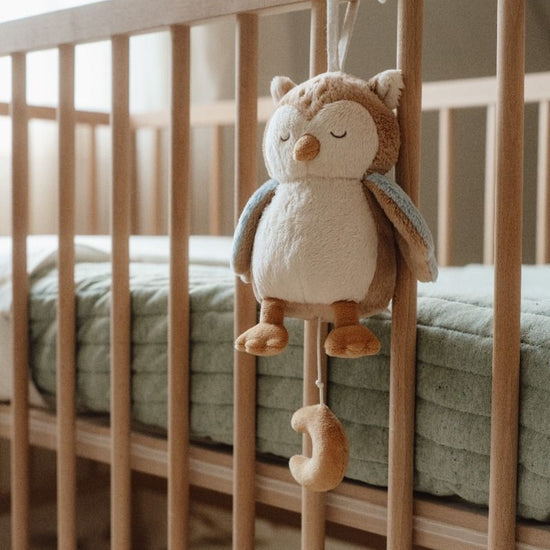 https://www.vanastenbabysuperstore.nl/media/catalog/product/0/5/0592404036_2_muziekdoosje_little_dutch_uil_forest_friends.jpg