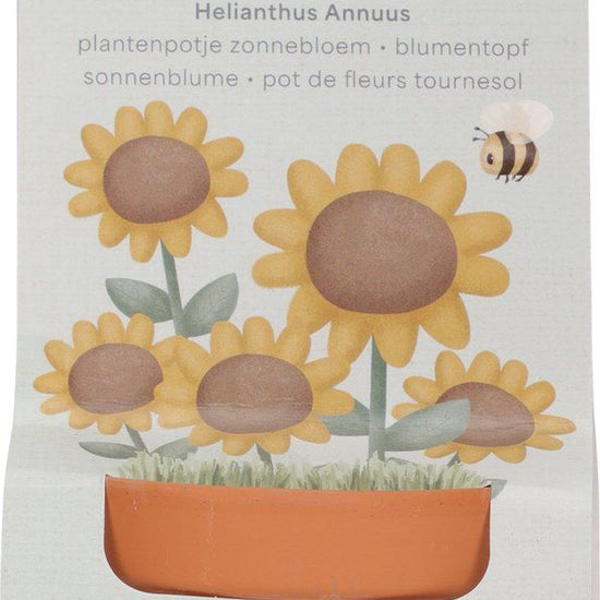 https://www.vanastenbabysuperstore.nl/media/catalog/product/0/5/0592404107_2_plantenpotje_little_dutch_zonnebloem.jpg