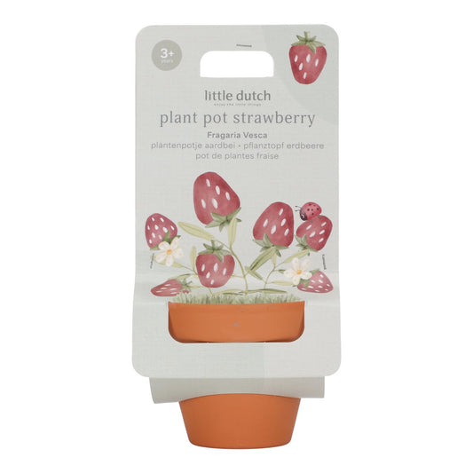https://www.vanastenbabysuperstore.nl/media/catalog/product/0/5/0592404108_01_Plantenpotje_LittleDutch_Aardbei.jpg
