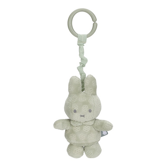 https://www.vanastenbabysuperstore.nl/media/catalog/product/0/5/0592420035_1_trilfiguur_nijntje_green_flower.png