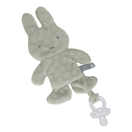 https://www.vanastenbabysuperstore.nl/media/catalog/product/0/5/0592420037_1_speendoekje_nijntje_green_flower.png