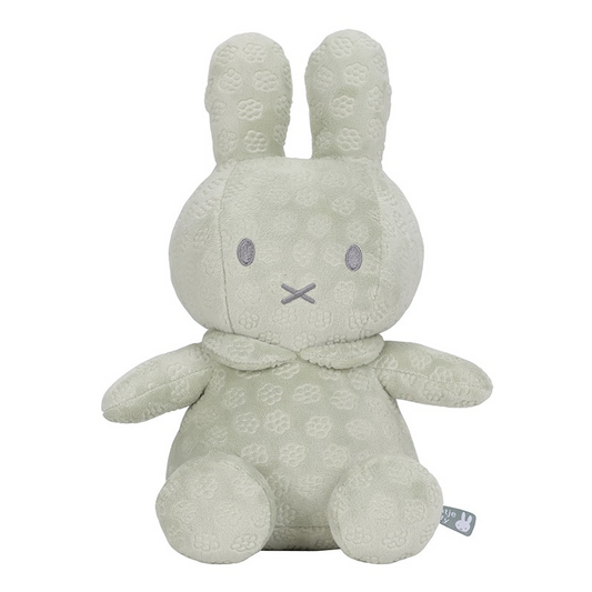 https://www.vanastenbabysuperstore.nl/media/catalog/product/0/5/0592420041_1_knuffel_nijntje_green_flower.png