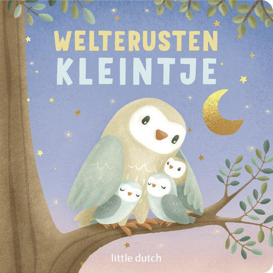 https://www.vanastenbabysuperstore.nl/media/catalog/product/0/5/0592900063_1_little_dutch_boekje_welterusten_kleintje_5_1768328054.jpg