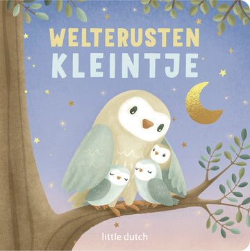 https://www.vanastenbabysuperstore.nl/media/catalog/product/0/5/0592900063_1_little_dutch_boekje_welterusten_kleintje_5_1768328054.jpg