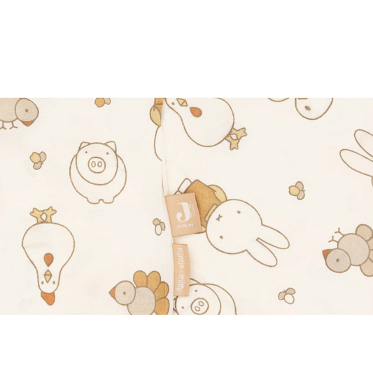 https://www.vanastenbabysuperstore.nl/media/catalog/product/0/6/061192000_1___1__1776160440.png