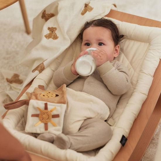 https://www.vanastenbabysuperstore.nl/media/catalog/product/0/6/0612110499_1_multidoek_jollein_hydrofiel_115x115_teddy_bear_2pack.jpg