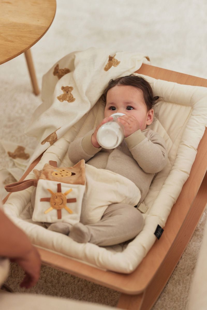 https://www.vanastenbabysuperstore.nl/media/catalog/product/0/6/0612110499_1_multidoek_jollein_hydrofiel_115x115_teddy_bear_2pack.jpg