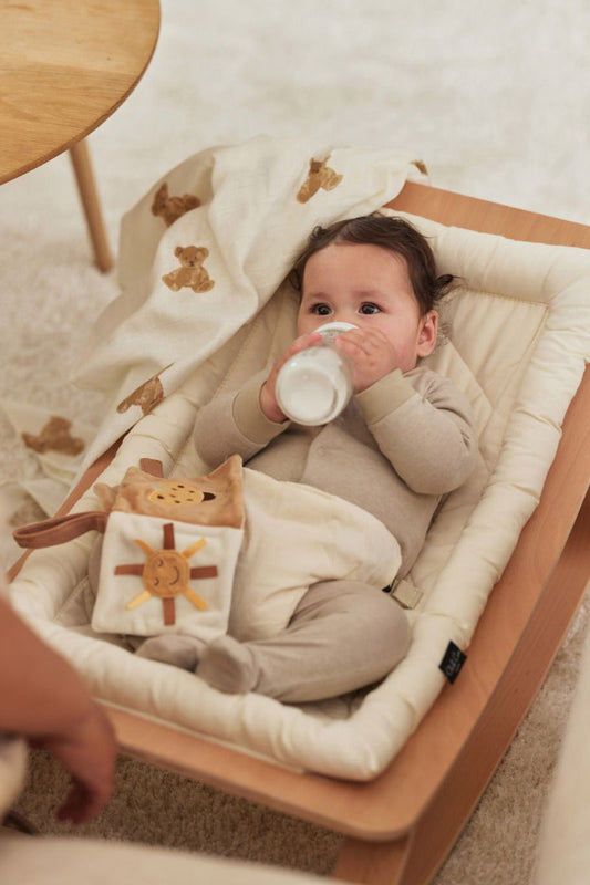 https://www.vanastenbabysuperstore.nl/media/catalog/product/0/6/0612110499_1_multidoek_jollein_hydrofiel_115x115_teddy_bear_2pack.jpg