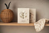 Multidoek Jollein Hydrofiel 115x115 Animals Olive Green 2-pack