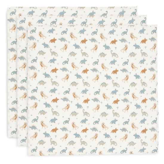 https://www.vanastenbabysuperstore.nl/media/catalog/product/0/6/0612110617_1_multidoek_jollein_hydrofiel_70x70_roarsome_3st.jpg