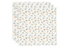 Multidoek Jollein Hydrofiel 70x70 Roarsome 3st