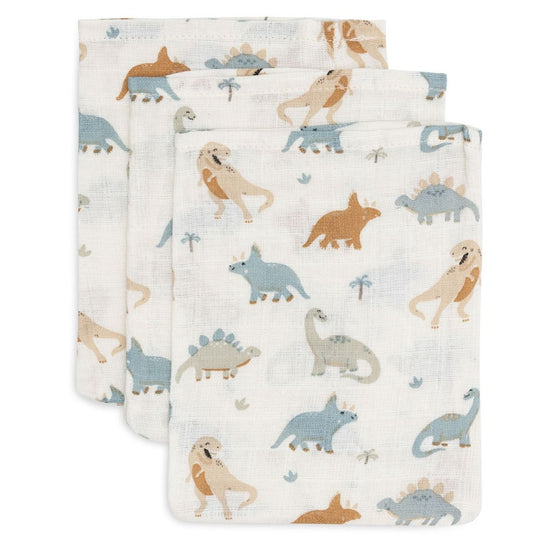 https://www.vanastenbabysuperstore.nl/media/catalog/product/0/6/0612110641_1_washandjes_jollein_hydrofiel_roarsome_3pack.jpg