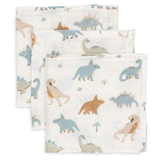 https://www.vanastenbabysuperstore.nl/media/catalog/product/0/6/0612110648_1_monddoekjes_jollein_hydrofiel_roarsome_3pack.jpg