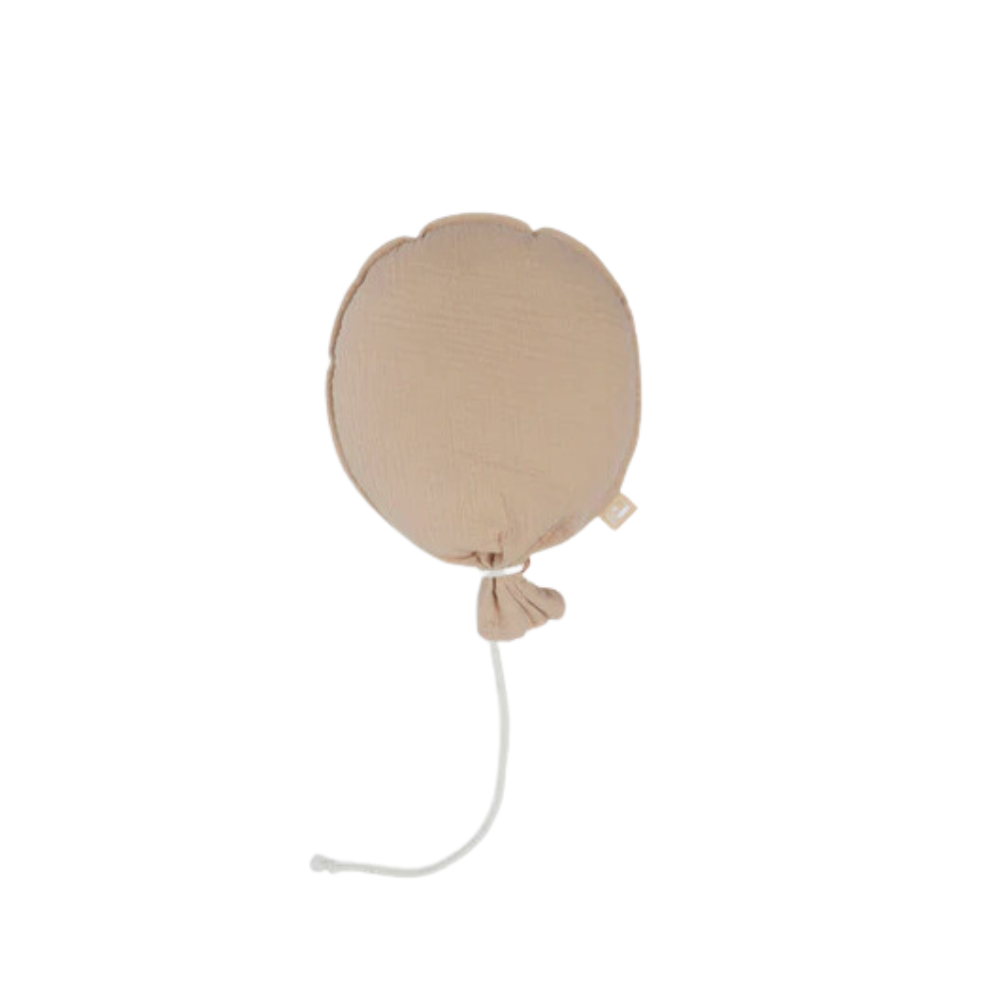 https://www.vanastenbabysuperstore.nl/media/catalog/product/0/6/0612300406_1_ballon_jollein_biscuit.png