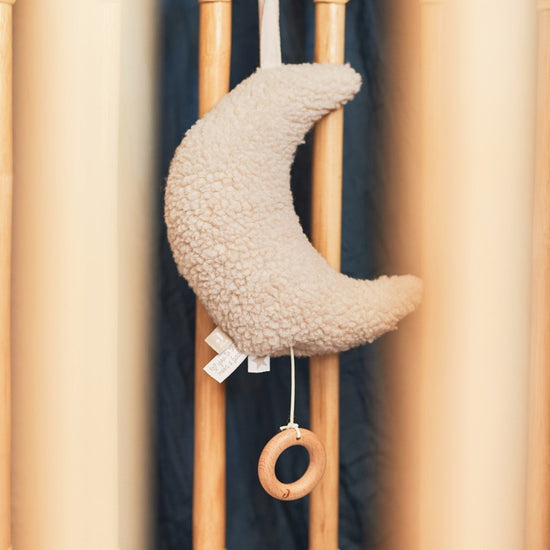 https://www.vanastenbabysuperstore.nl/media/catalog/product/0/6/0612400094_2_muziekhanger_jollein_moon_nougat.jpg