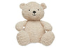 https://www.vanastenbabysuperstore.nl/media/catalog/product/0/6/0612400107_1_knuffel_jollein_teddy_bear_naturel.jpg