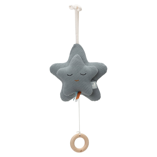https://www.vanastenbabysuperstore.nl/media/catalog/product/0/6/0612420005_1_Muziekhanger_Jollein_Star_Sea_Green.jpg