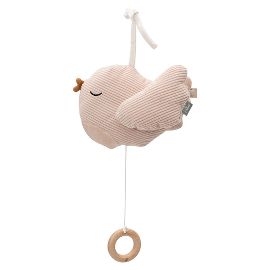https://www.vanastenbabysuperstore.nl/media/catalog/product/0/6/0612420006_1_Muziekhanger_Jollein_Lovely_Birds.jpg
