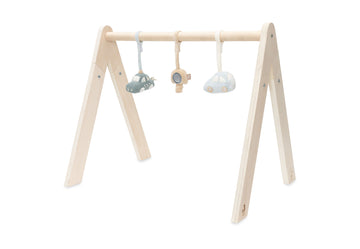 https://www.vanastenbabysuperstore.nl/media/catalog/product/0/6/0612420011_1_speeltjes_voor_babygym_jollein_on_the_go.jpg