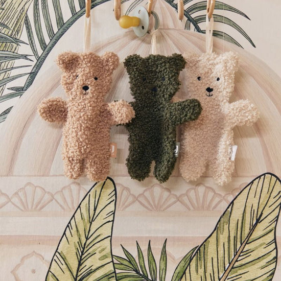 https://www.vanastenbabysuperstore.nl/media/catalog/product/0/6/0612800106_2_speendoekje_jollein_teddy_bear_biscuit.jpg