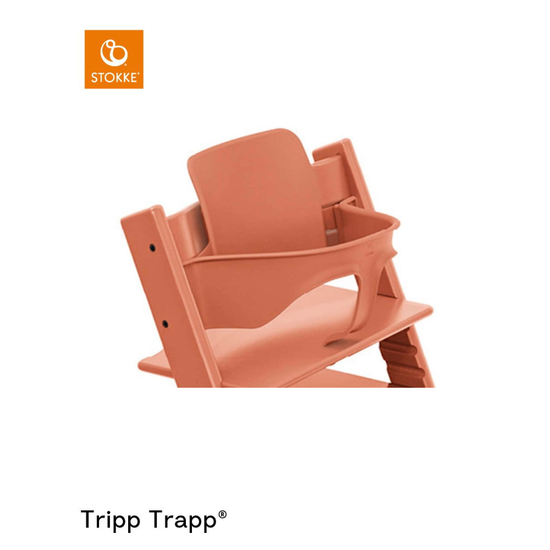 https://www.vanastenbabysuperstore.nl/media/catalog/product/0/8/0831610266_1_babyset_voor_stokker_tripp_trappr_v2_terracotta.png