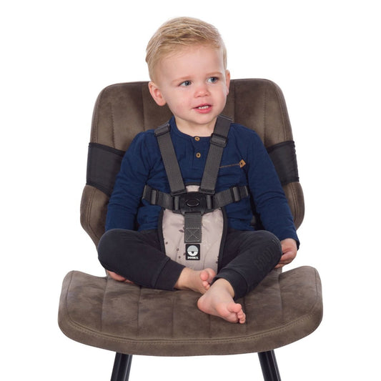https://www.vanastenbabysuperstore.nl/media/catalog/product/0/9/0951610006_1_meeneem_kinderstoel_dooky_travel_chair_romantic_leaves_beige.jpg
