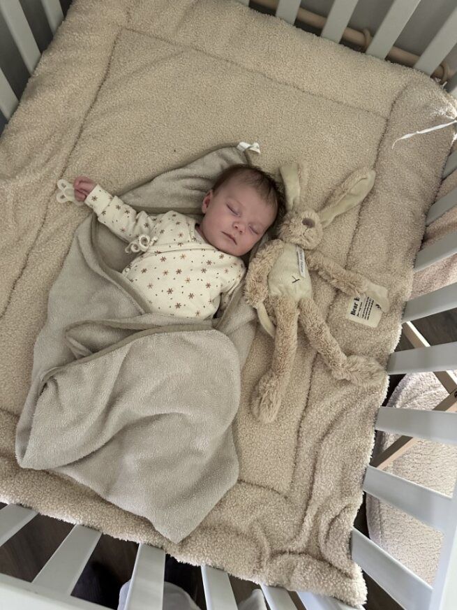 https://www.vanastenbabysuperstore.nl/media/catalog/product/0/9/0992401633_2_muziekdoosjenachtlampje_happy_horse_soothing_sounds_rabbit_richie_beige.jpg
