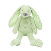 https://www.vanastenbabysuperstore.nl/media/catalog/product/0/9/0992420014_1_knuffel_happy_horse_rabbit_richie_pistachio_38cm.png