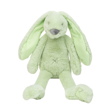 https://www.vanastenbabysuperstore.nl/media/catalog/product/0/9/0992420014_1_knuffel_happy_horse_rabbit_richie_pistachio_38cm.png