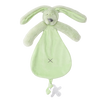 https://www.vanastenbabysuperstore.nl/media/catalog/product/0/9/0992420015_1_knuffeldoekje_happy_horse_rabbit_richie_pistachio.png