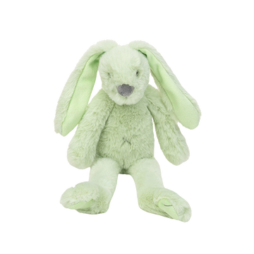 https://www.vanastenbabysuperstore.nl/media/catalog/product/0/9/0992420016_1_knuffel_happy_horse_rabbit_richie_pistachio_28cm.png