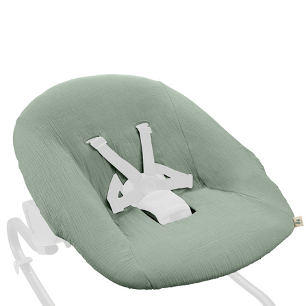 https://www.vanastenbabysuperstore.nl/media/catalog/product/1/1/1121740013_1_wipstoelhoes_hauck_bouncer_baby_sage.png