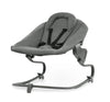 https://www.vanastenbabysuperstore.nl/media/catalog/product/1/1/1121740015_1_wipstoel_hauck_alpha_bouncer_premium_dark_grey.jpg