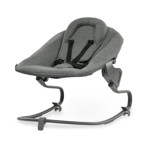 https://www.vanastenbabysuperstore.nl/media/catalog/product/1/1/1121740015_1_wipstoel_hauck_alpha_bouncer_premium_dark_grey.jpg