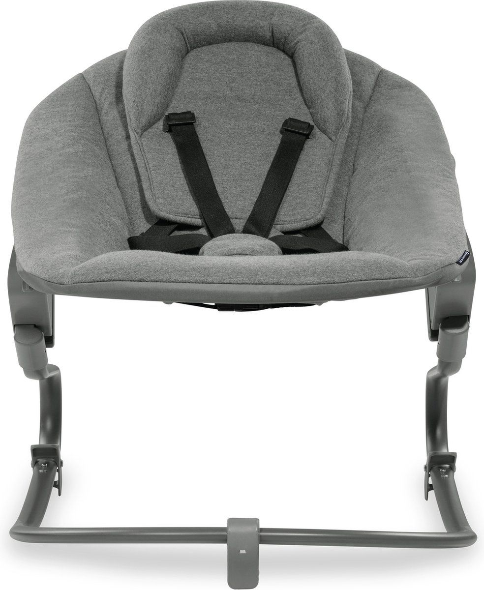 https://www.vanastenbabysuperstore.nl/media/catalog/product/1/1/1121740015_2_wipstoel_hauck_alpha_bouncer_premium_dark_grey.jpg