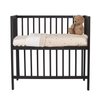 https://www.vanastenbabysuperstore.nl/media/catalog/product/1/2/1280060046_3_wieg_cosleeper_bedside_open_40x80_black.png