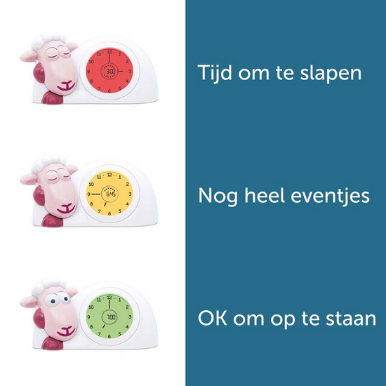 https://www.vanastenbabysuperstore.nl/media/catalog/product/1/3/1302160055_2_slaapklok_zazu_sam_het_schaap_paars.png