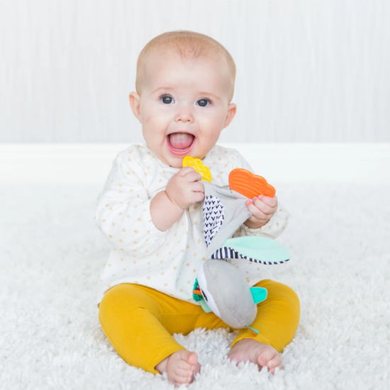 https://www.vanastenbabysuperstore.nl/media/catalog/product/1/3/1302400607_2_knuffeldoekje_bijtring_infantino_cuddly_teether_penguin.png