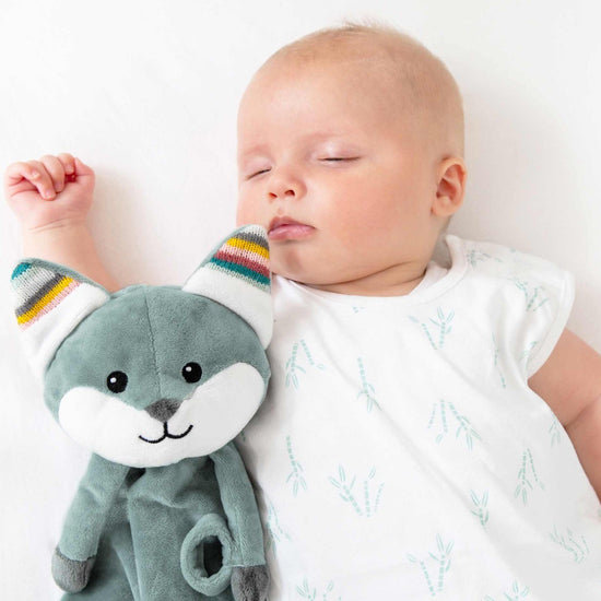 https://www.vanastenbabysuperstore.nl/media/catalog/product/1/3/1302400631_2_knuffeldoekje_zazu_baby_comforter_felix_de_vos_blauw.jpg